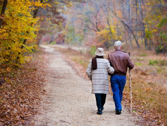 Services de soins à domicile pour les personnes âgées :