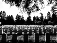 Combien coûte la crémation ?