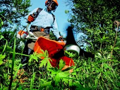 Top des loisirs chez les seniors