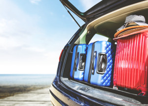 Le Home-sitting, un bon plan vacances si vous êtes senior et disponible