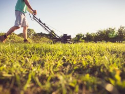 Comment entretenir son jardin l’hiver pour préparer le printemps ?